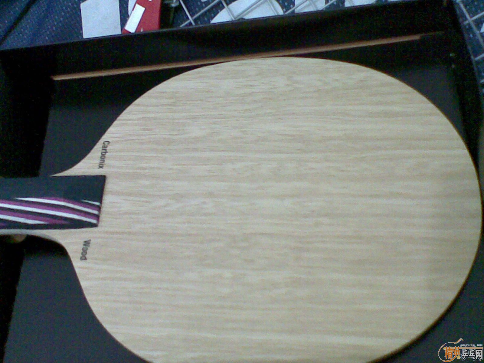 ����֧ȫ�µ���˹��̼