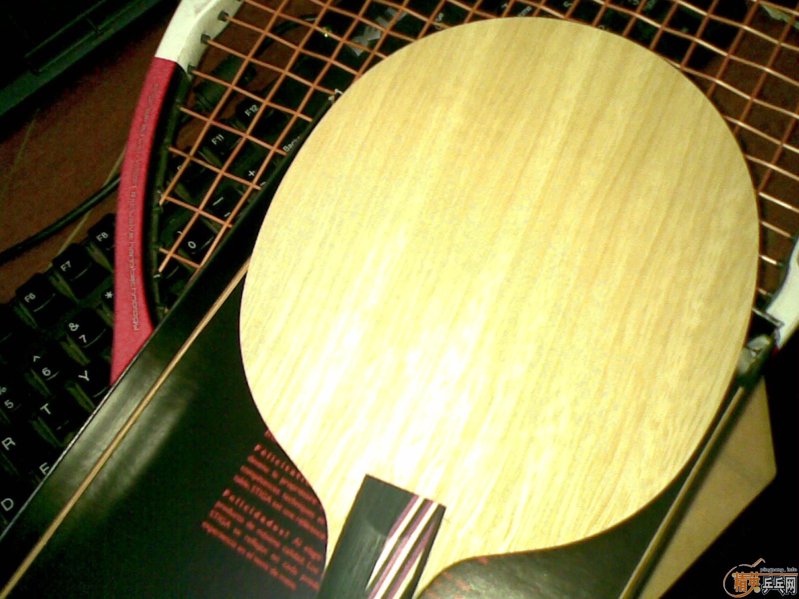 ����֧ȫ�µ���˹��̼