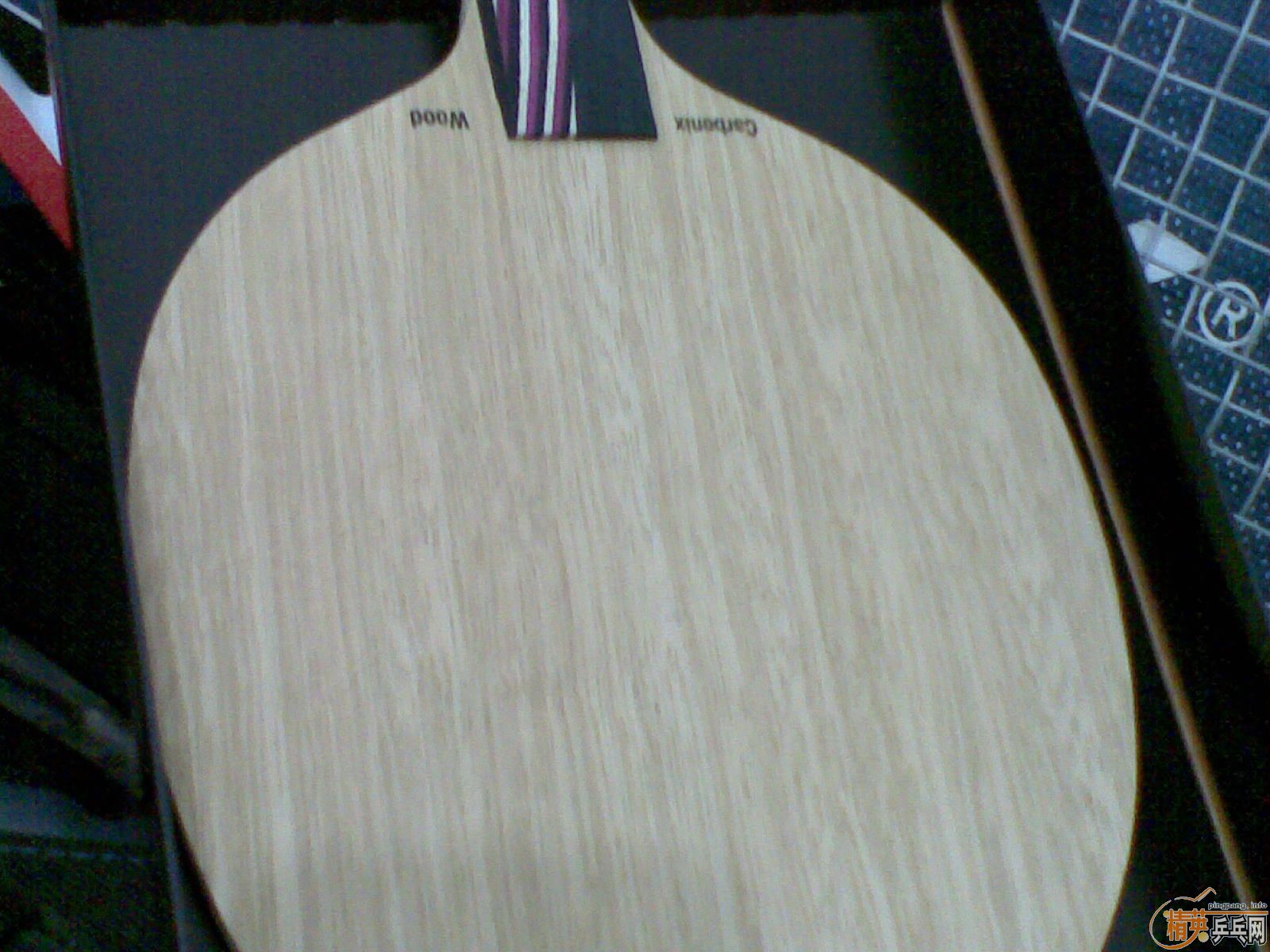 ����֧ȫ�µ���˹��̼