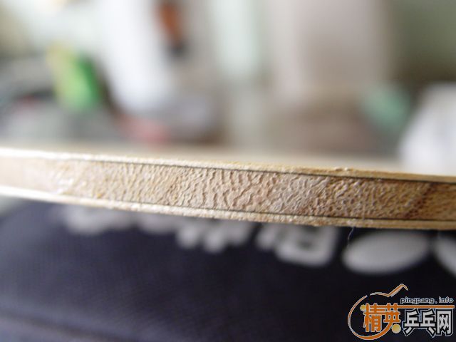 [ԭ��]PALIO �۸��Ÿ������£������޿�����˳�㿴���ҵĺ�����