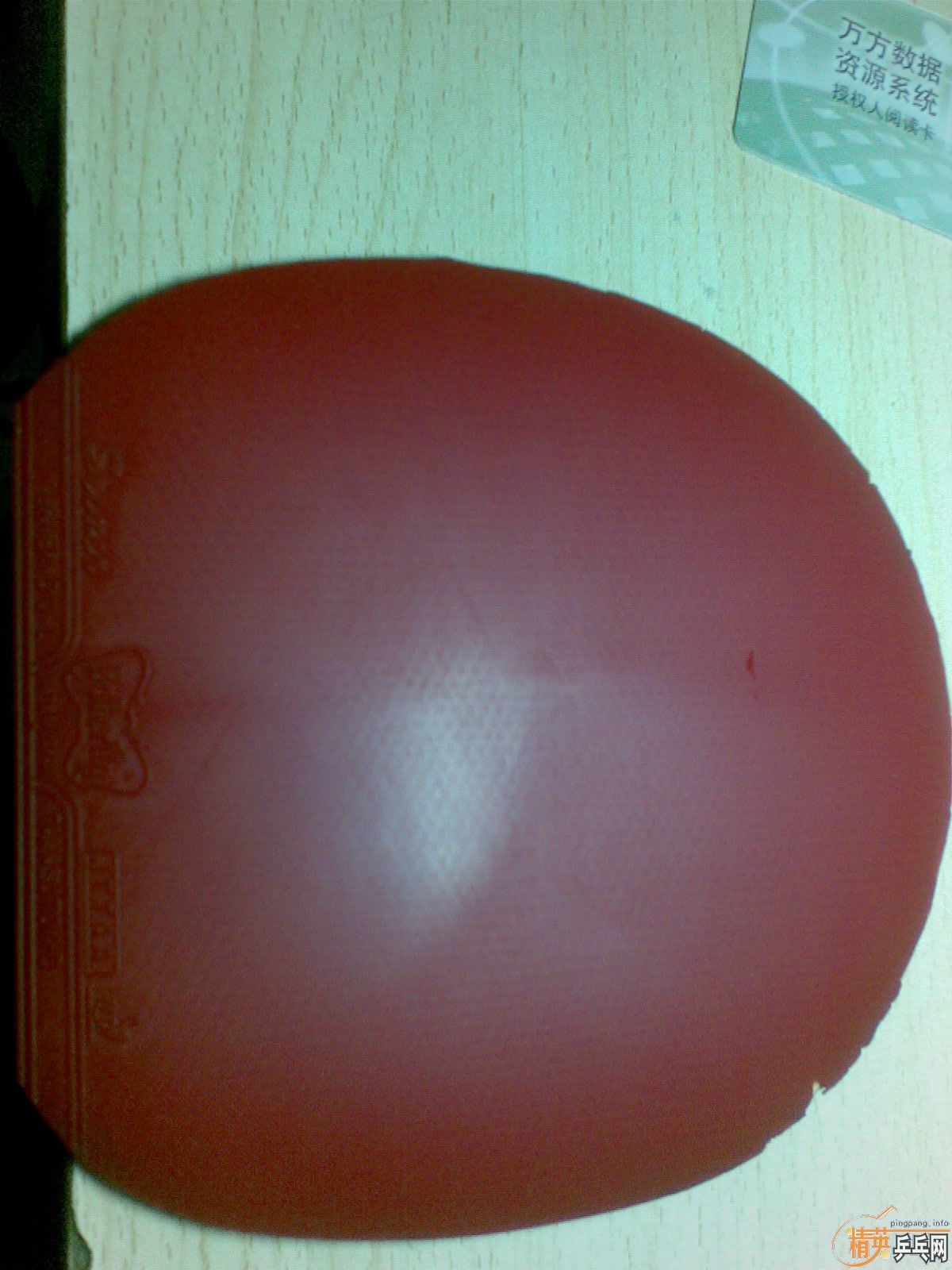 ��SRIVER��������������Ѹ���׽�