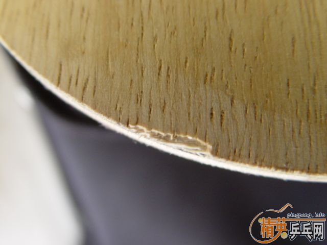 [ԭ��]PALIO �۸��Ÿ������£������޿�����˳�㿴���ҵĺ�����