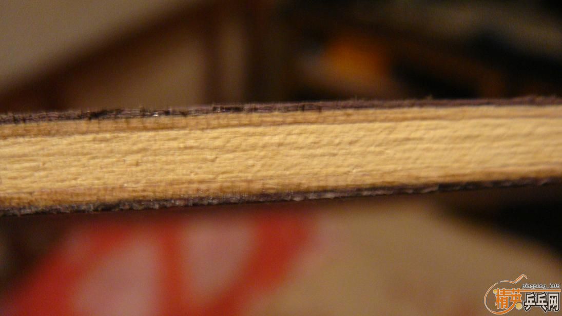 ���Ÿ��ӣ���������������