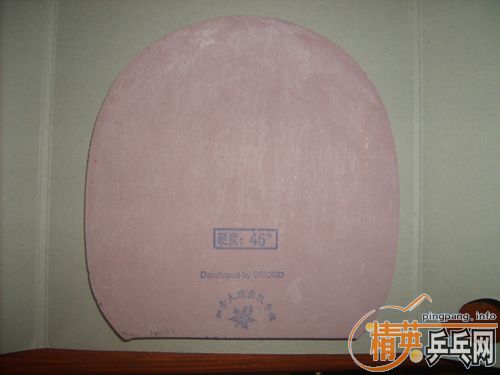 ����ȫ�µ�EL 2000F���е�ɵ����ӽ��� ���Ϳ���