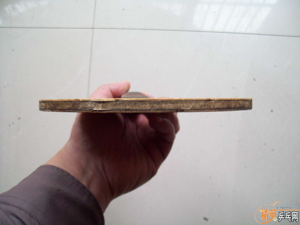 �����������������̼FL��280����