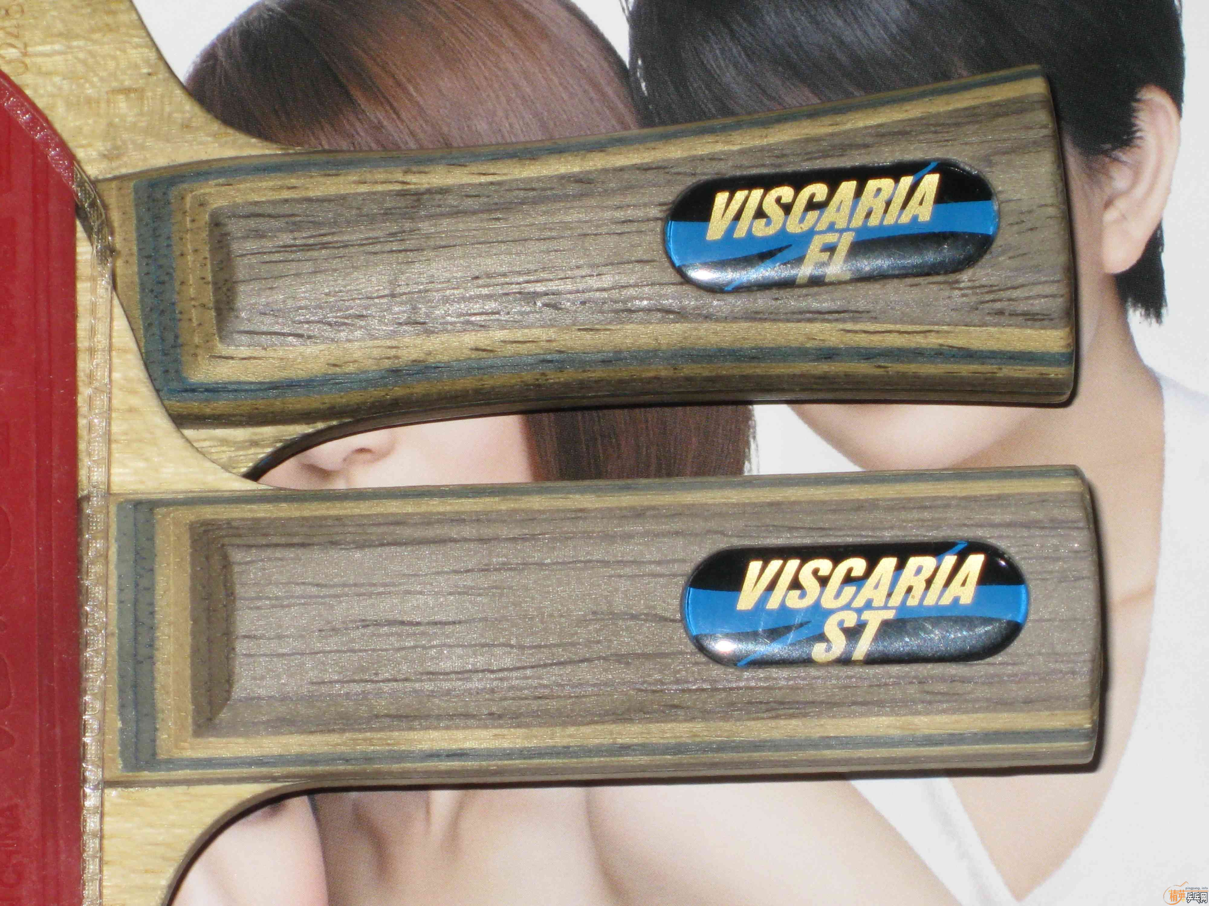 ��Ҫ����VIS���ܳ��õ���