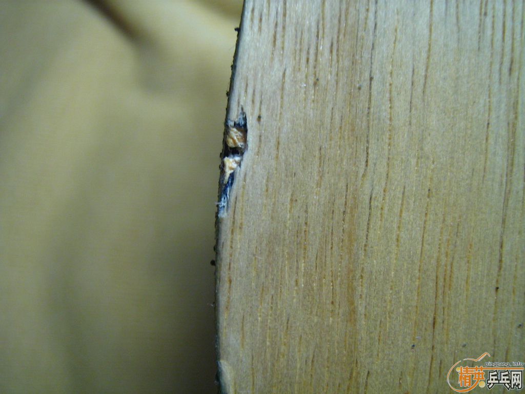 �վ����ţ�ʷ�׿�V1��̼��ʵ�ı���