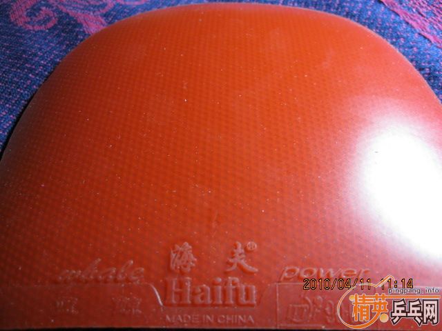 �������9��������95����̼��ǿ����꺣��ʡ����ӡ2������39��  ������X��