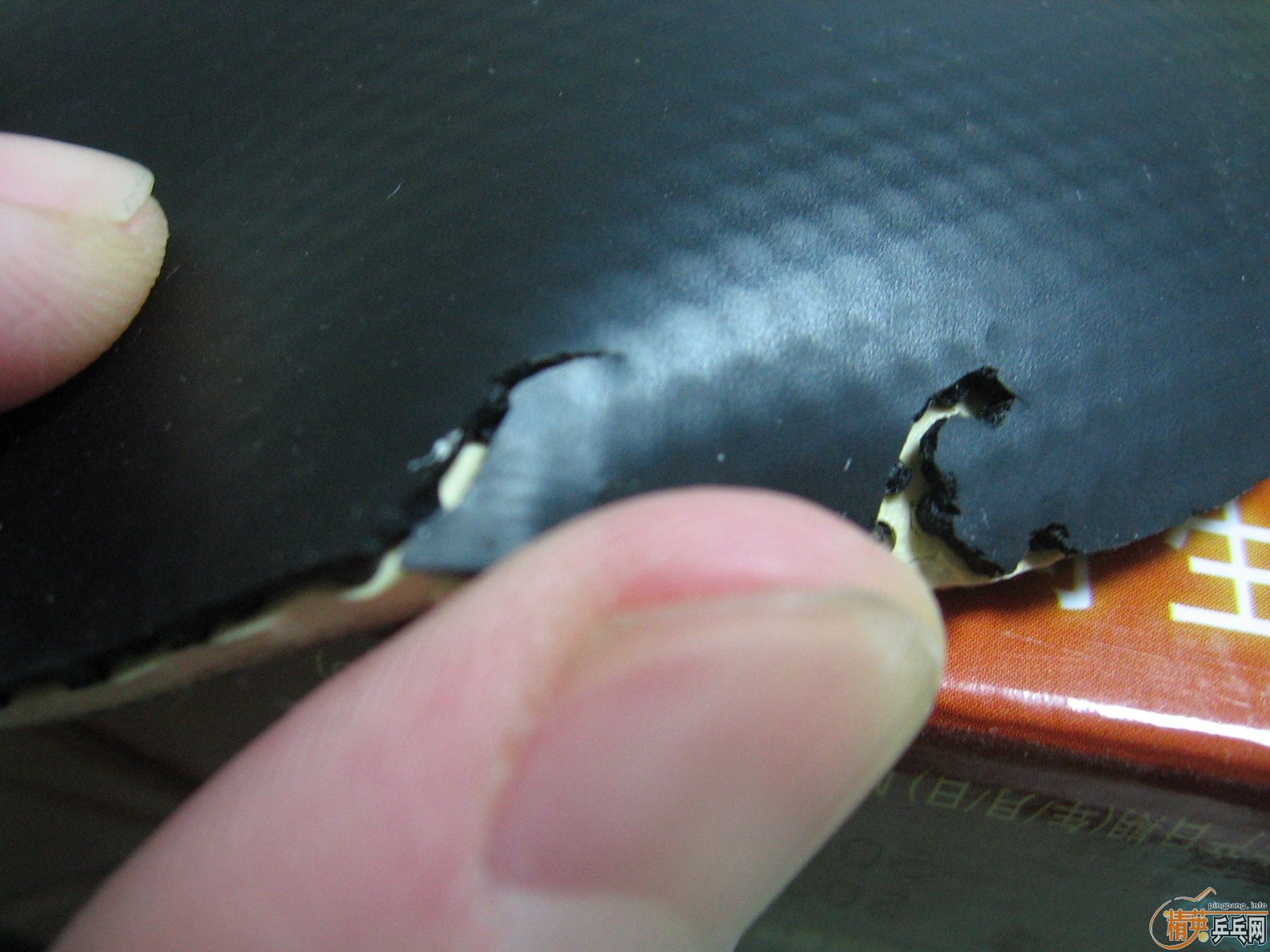 ���׽���� XIOM Omiga 2 + ������ ʮ�־� + DUONIC 3XL�̿�