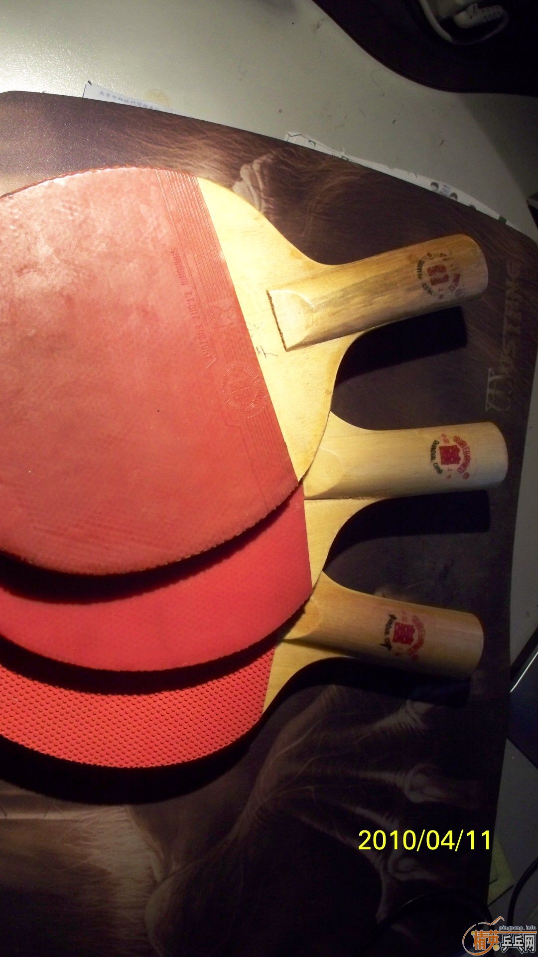 ��3ֻ�Ϻ�˫ϲ����,���ղ�