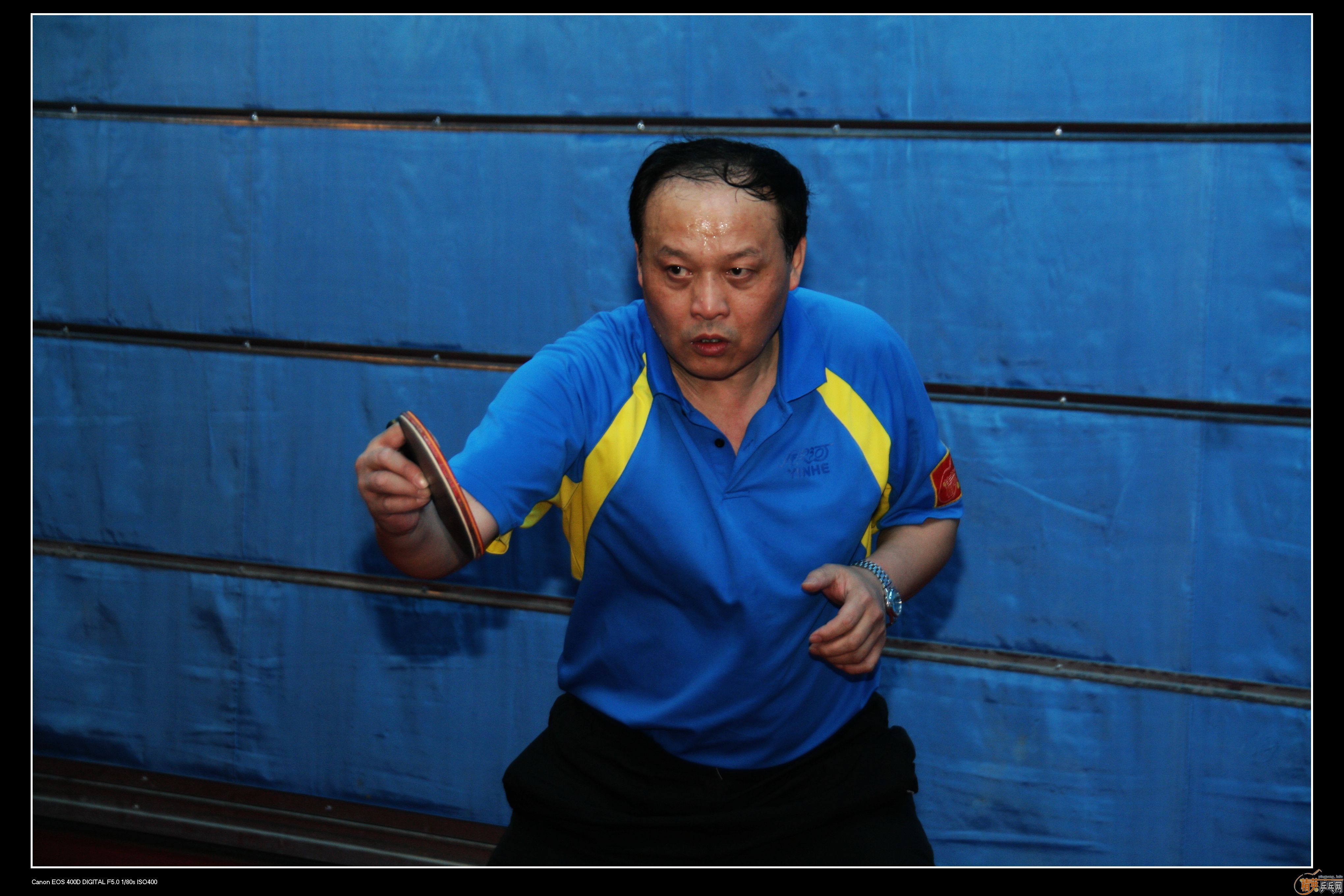 2010�ൺ����Ӣ����ӭ��ƹ���򹫿���