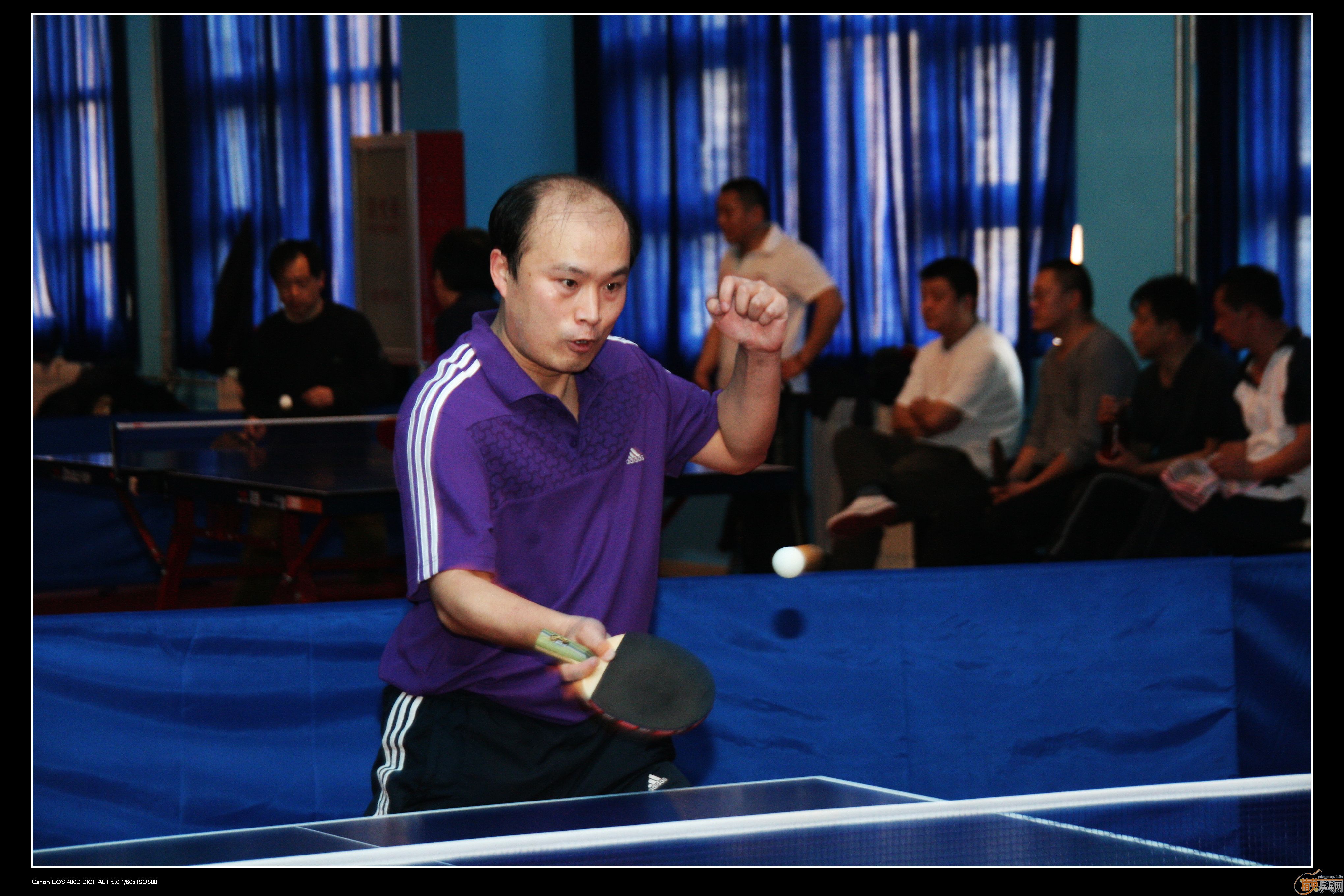 2010�ൺ����Ӣ����ӭ��ƹ���򹫿���