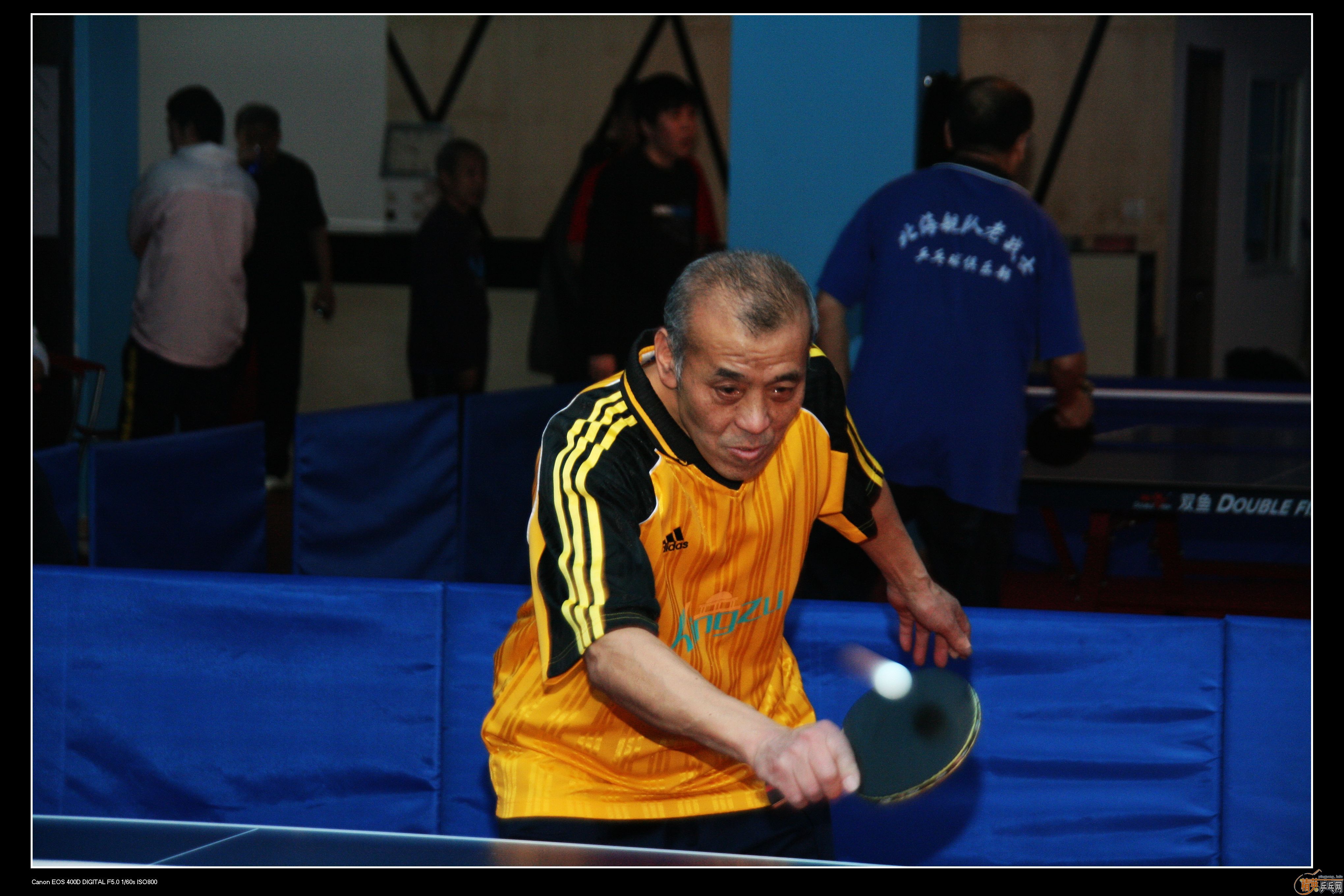 2010�ൺ����Ӣ����ӭ��ƹ���򹫿���