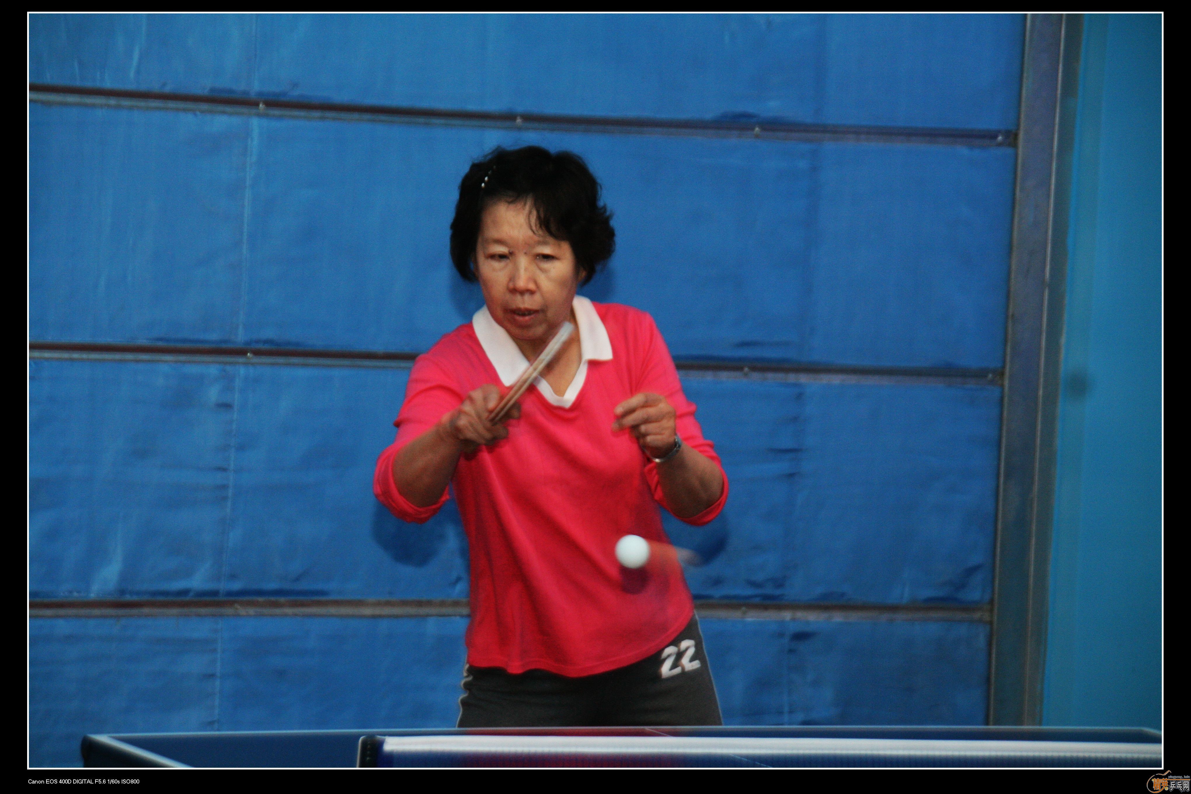 2010�ൺ����Ӣ����ӭ��ƹ���򹫿���