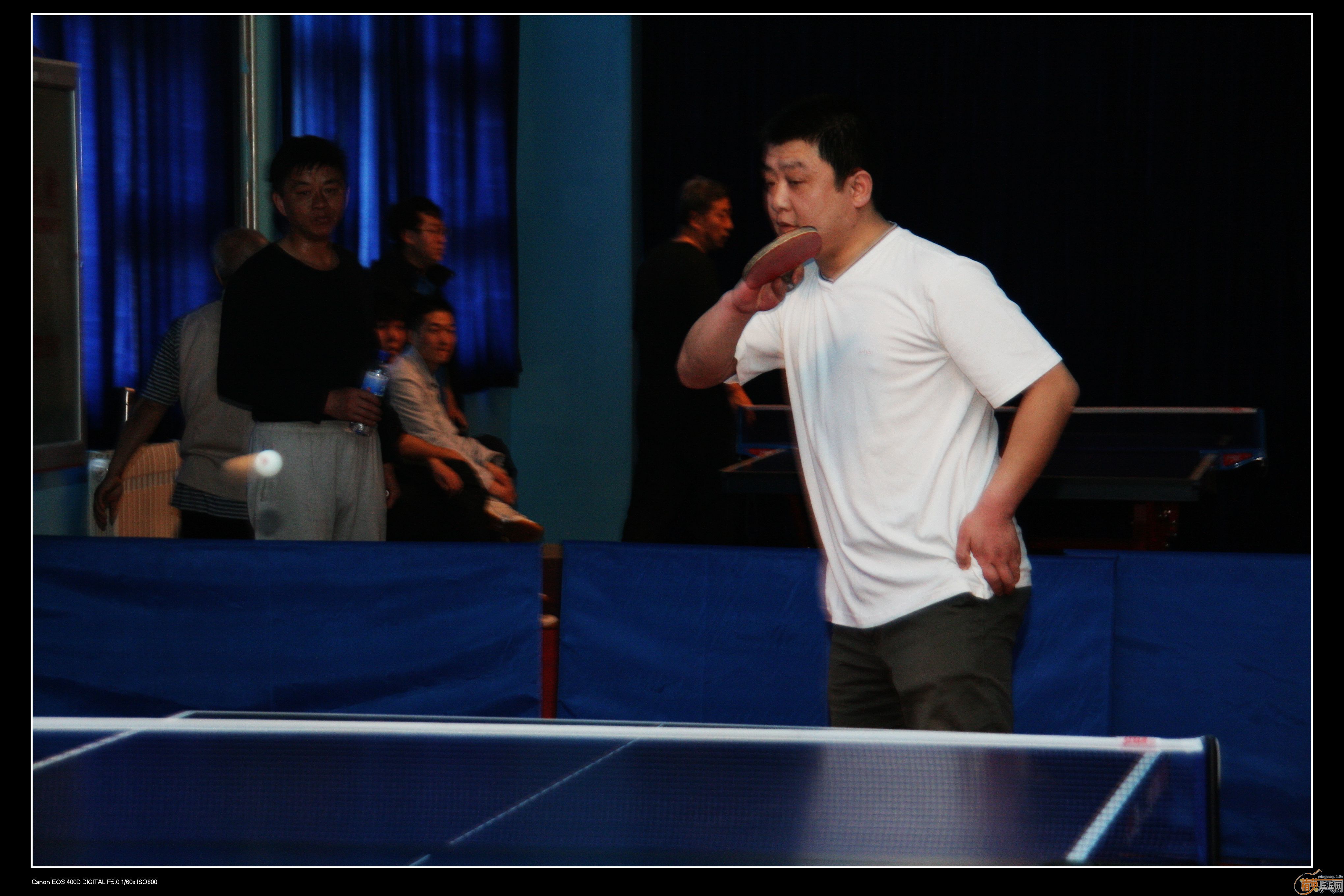 2010�ൺ����Ӣ����ӭ��ƹ���򹫿���