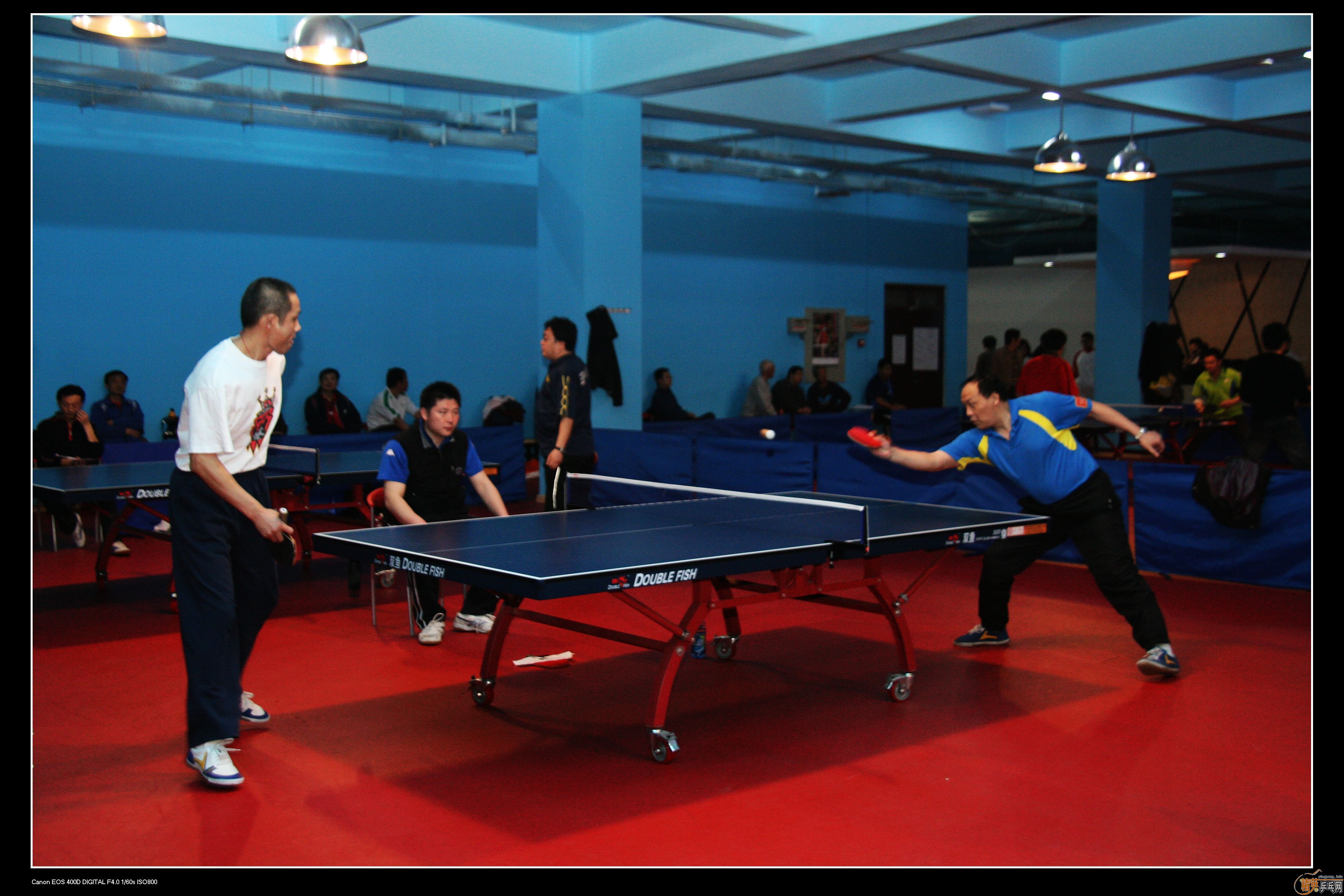 2010�ൺ����Ӣ����ӭ��ƹ���򹫿���