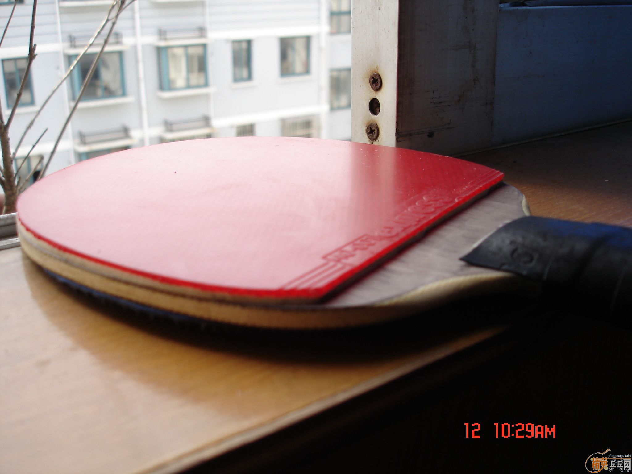 9.5�µ���5.4ʵ�ı�������������ӡ�