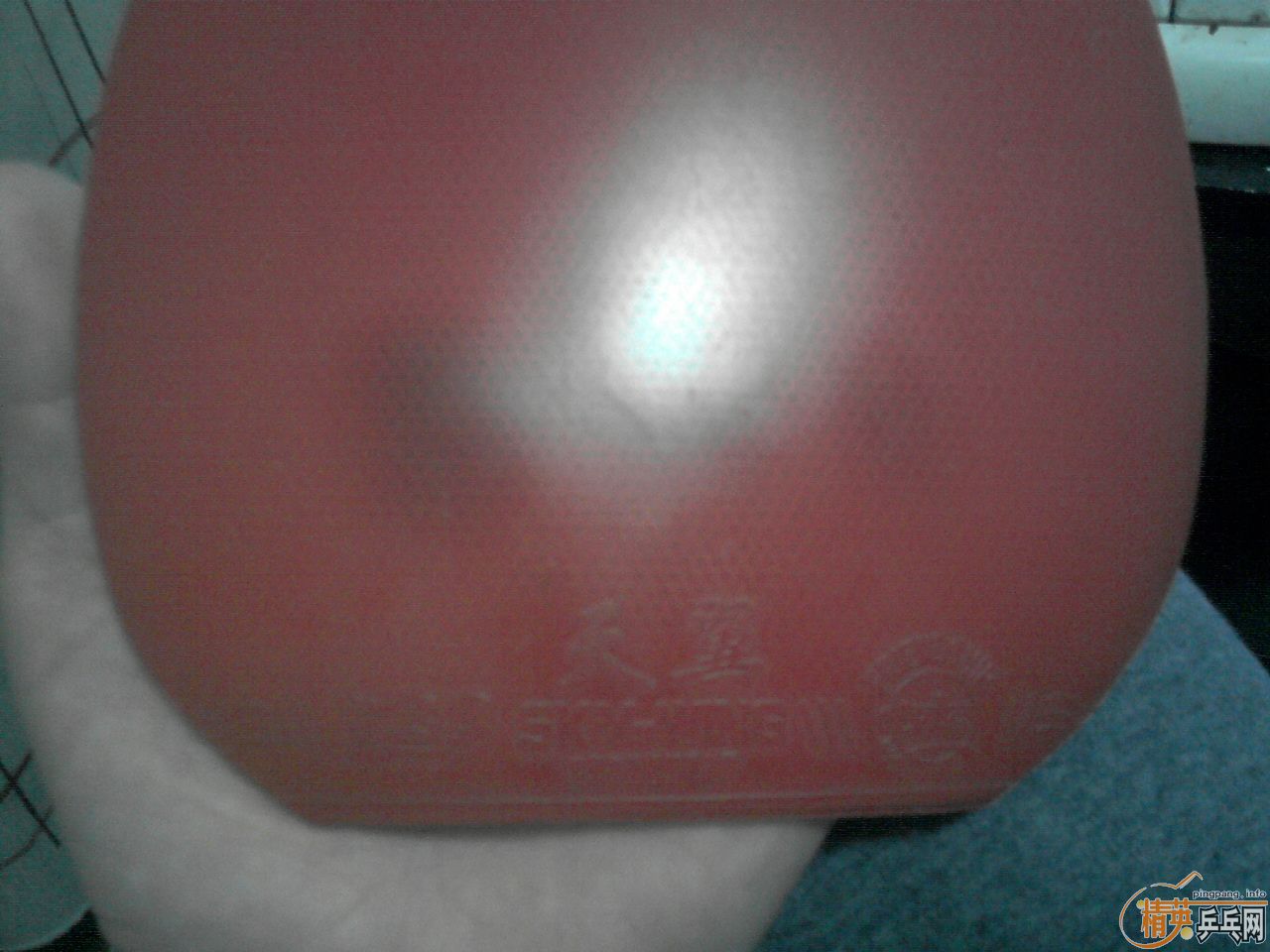 ŷ��CL����