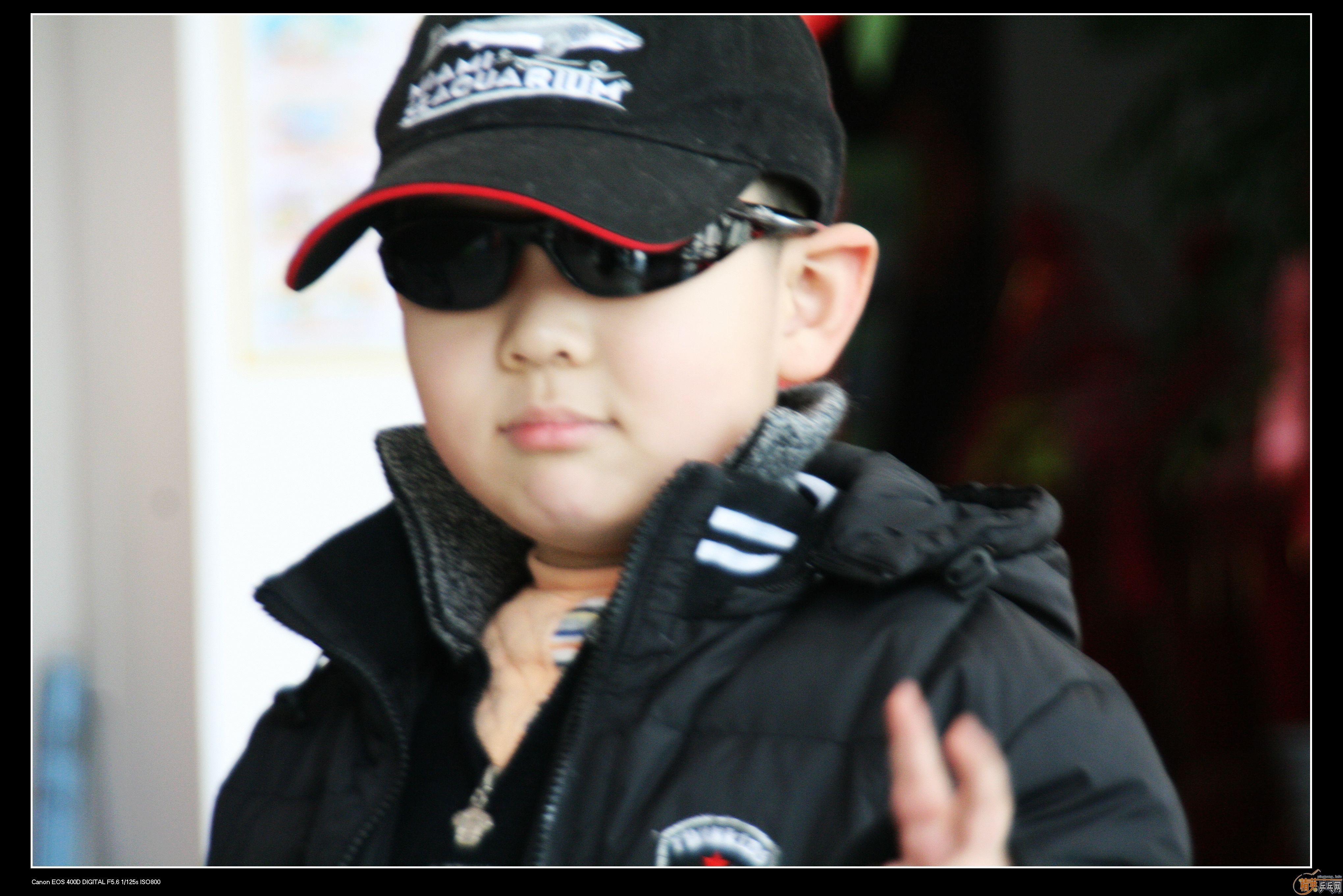 2010�ൺ����Ӣ����ӭ��ƹ���򹫿���