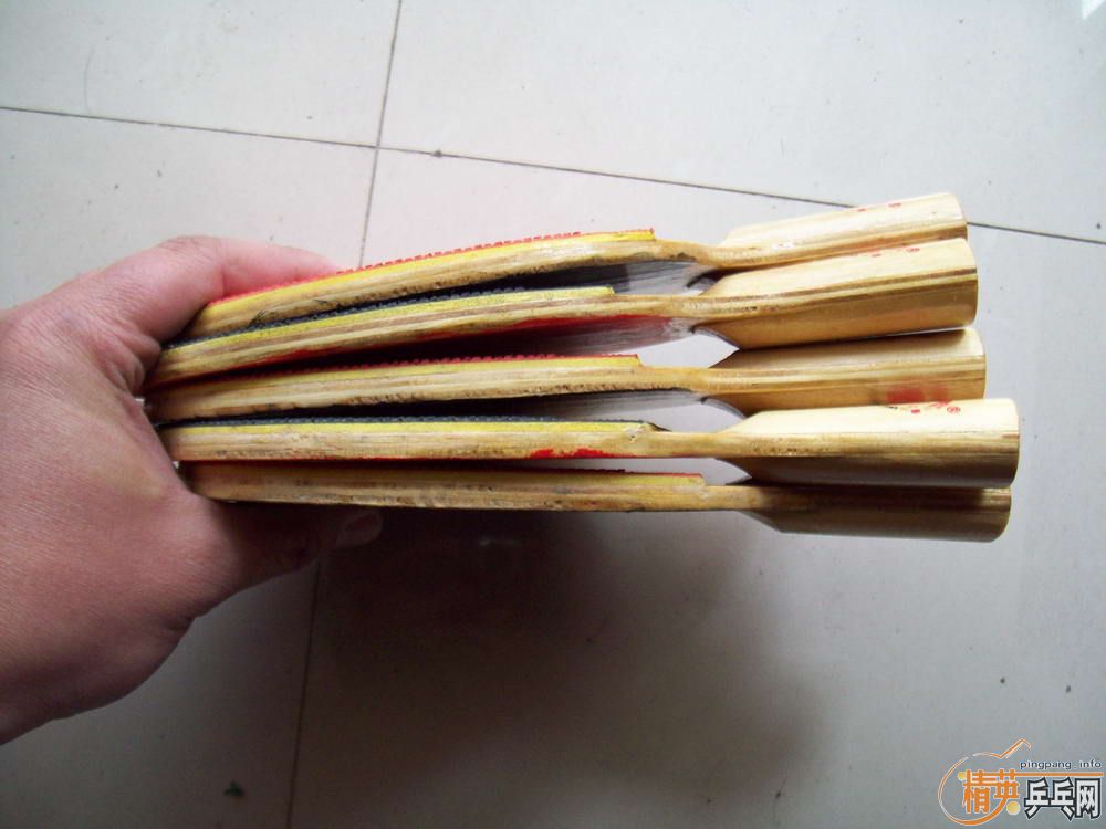 ��5���Ϻ�˫ϲ3008���ӣ�100Ԫ����