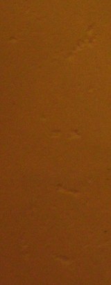 �պᲨ����̼+++++���39