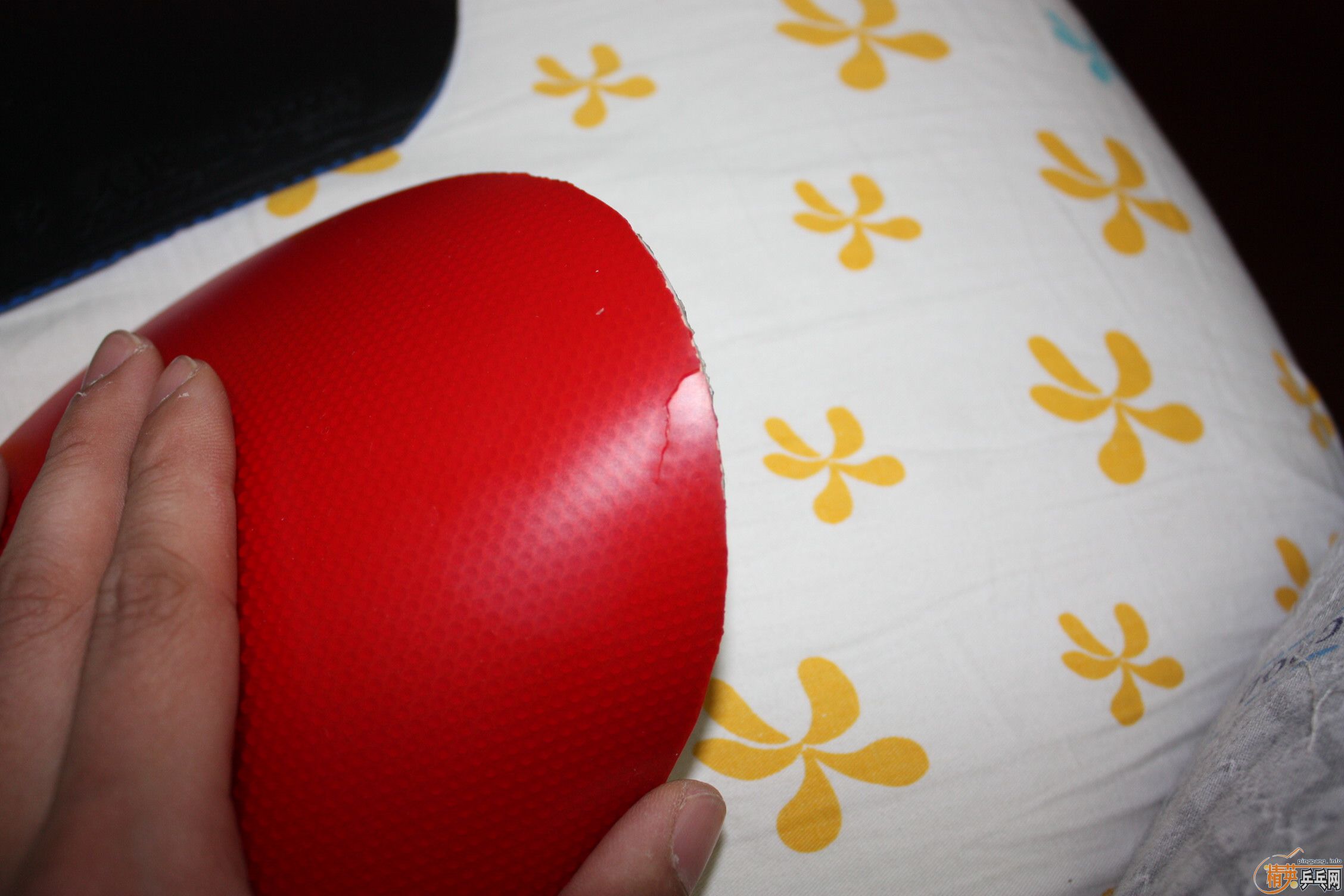 ��ˮ�ȡ�clcr�����Ž�Ƥ