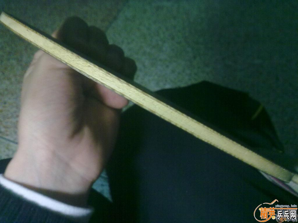 ����ŷ��TI54 340���� ֧����