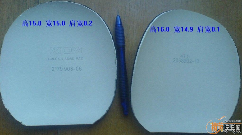 9.5����ֱ����������3���Ϻ��ࣩ����ŷ����2