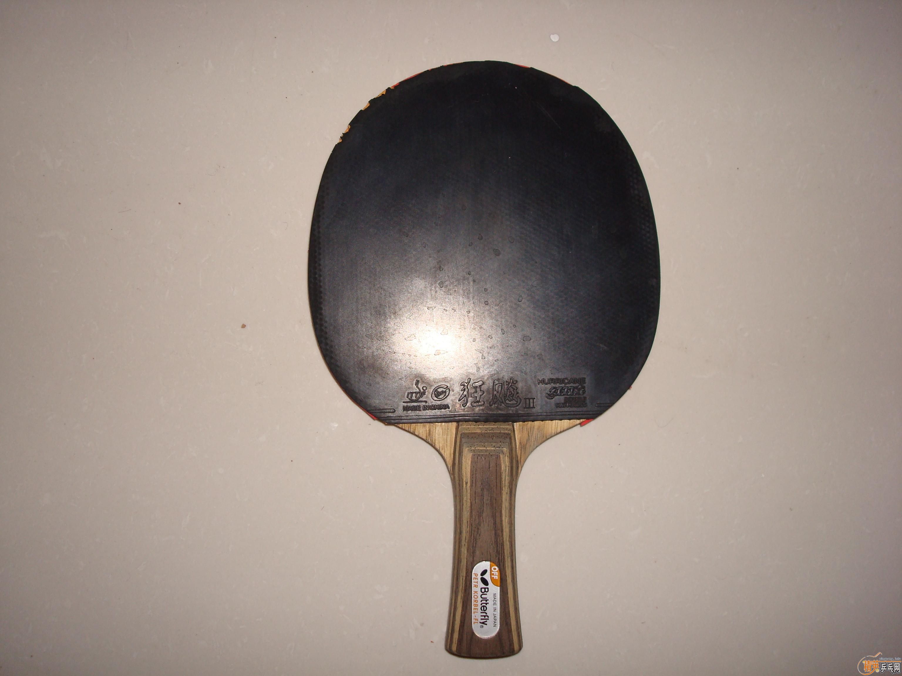 ��һ����ͼ�ģ�������ֺ����װ壨�Ʊ�����+���3+PALIO�������ˣ�