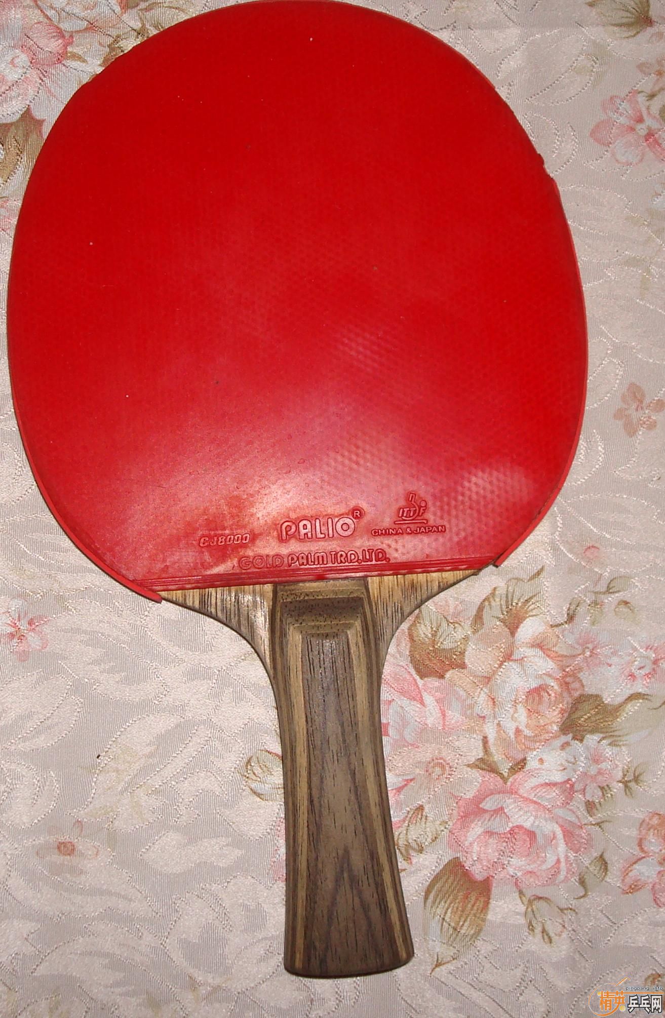 ��һ����ͼ�ģ�������ֺ����װ壨�Ʊ�����+���3+PALIO�������ˣ�