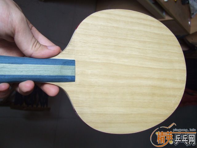 ����ͦ��CHILA balsa�Ͱѻ�¡̩�Դ�����