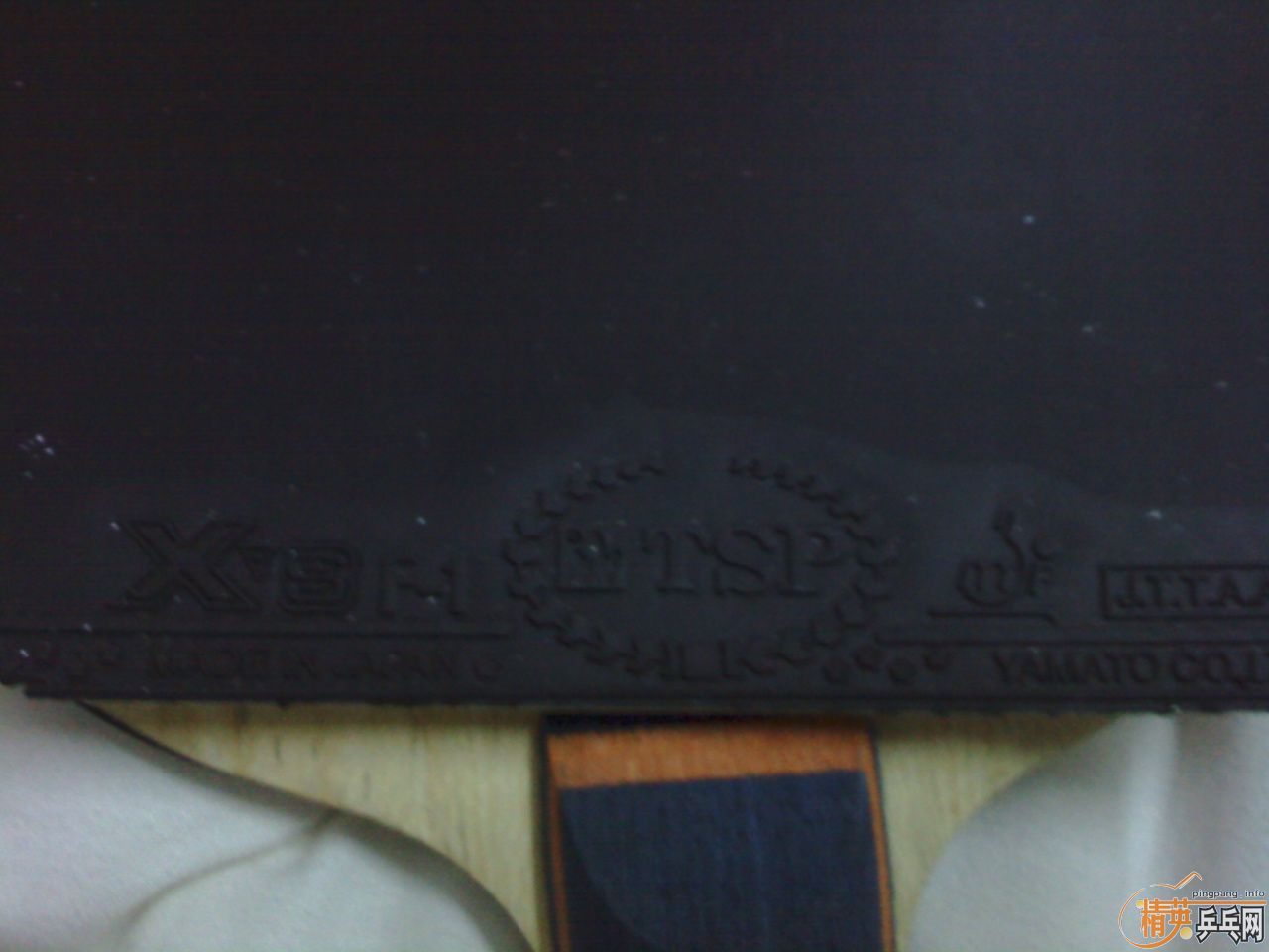 �ձ���У���ֲ� �ڹ���TSP XSF.1-21�׽�����ɫ��VIS����