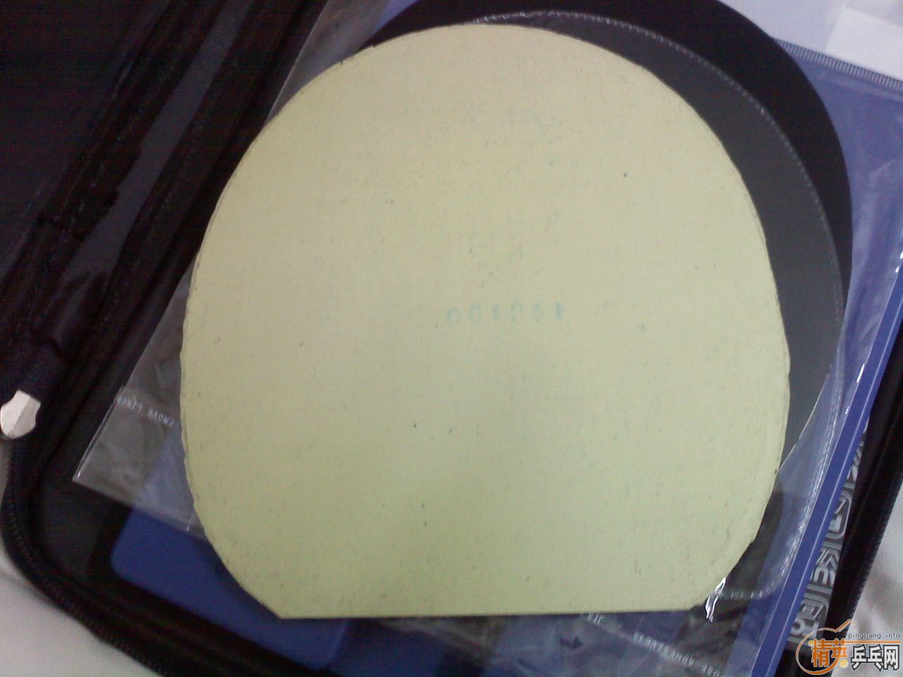 �ձ���У���ֲ� �ڹ���TSP XSF.1-21�׽�����ɫ��VIS����