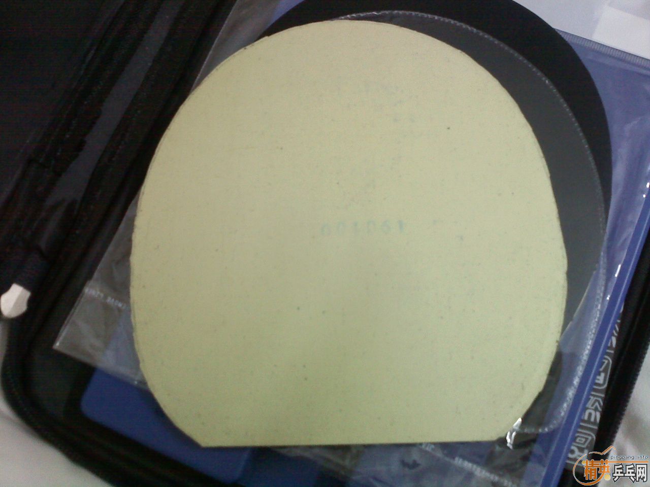 �ձ���У���ֲ� �ڹ���TSP XSF.1-21�׽�����ɫ��VIS����