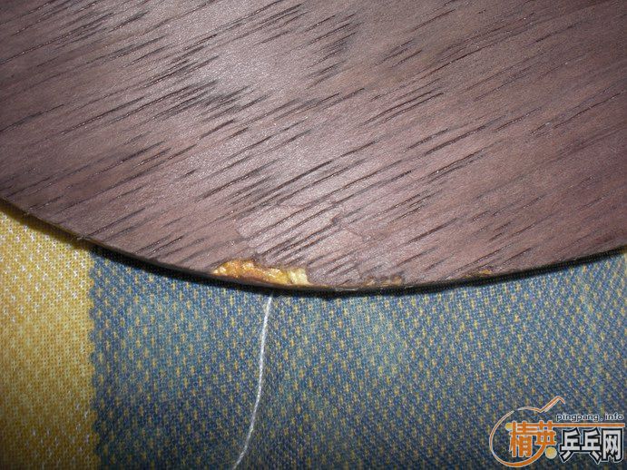 ��*�� ʵ�ı�OC FL�� һֻ....350����