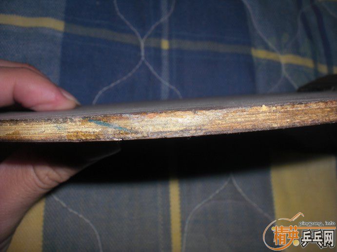 ��*�� ʵ�ı�OC FL�� һֻ....350����