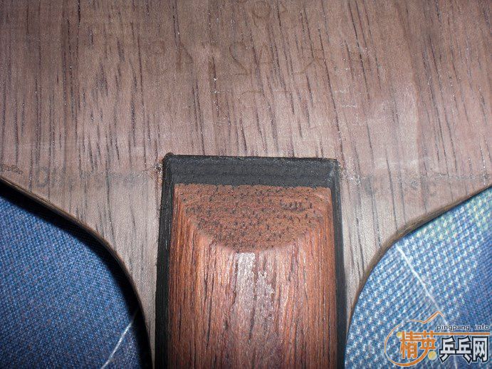 ��*�� ʵ�ı�OC FL�� һֻ....350����