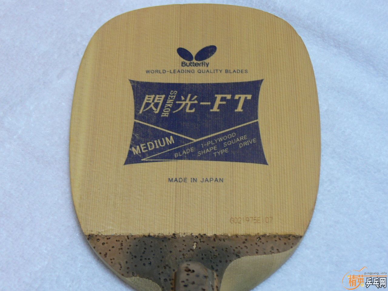 ��ҹ���ģ� ���� ��ֱ���� ����-FT  һԪ���ģ�ȫ��֧Ԯ������