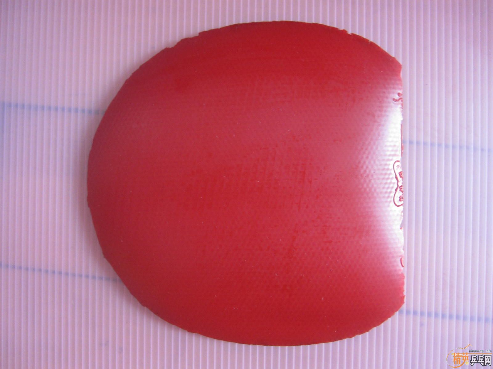 ֧���������˳���Ƥ