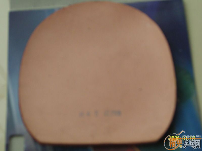 ������/����/NEO����/����EL/��ħճ729-2/729��������/��ɫ729�׽�