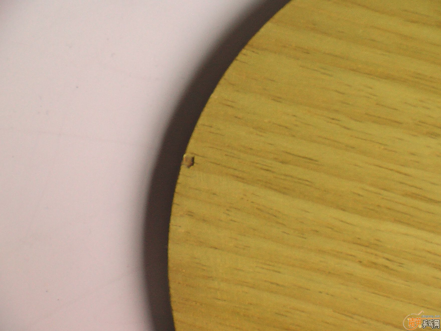 ������ί�д����ֱ��9������̼�ӽ�Ƥ420Ԫ