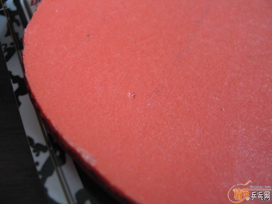 [ԭ��]����֧���Ӻ�һƬ��Ƥ����