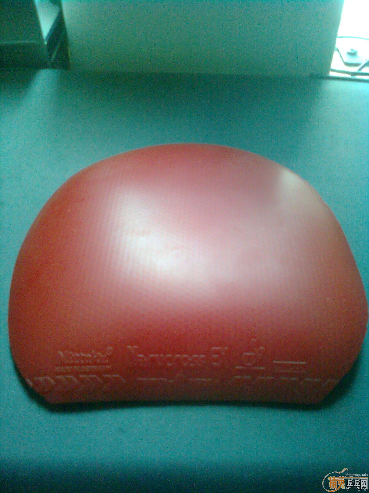 ��ʮ�־�EX��95��