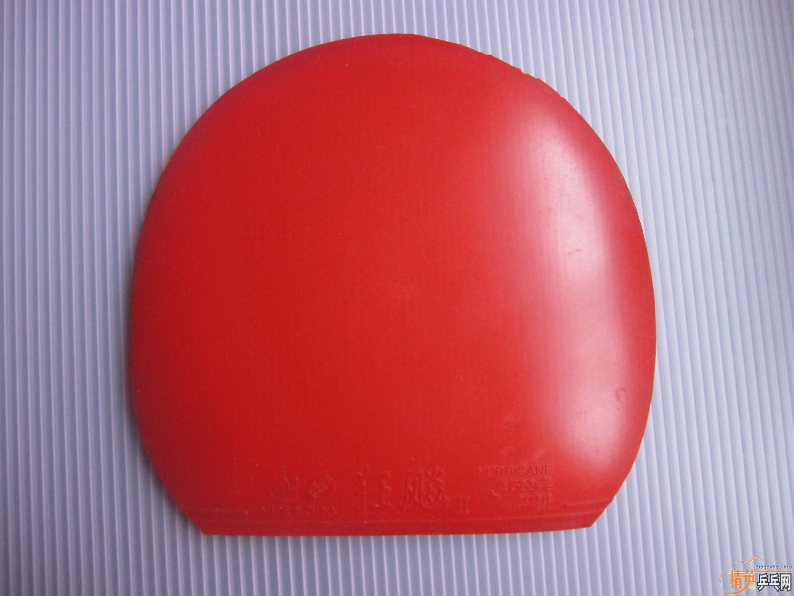 ֧���������˽�Ƥ�����