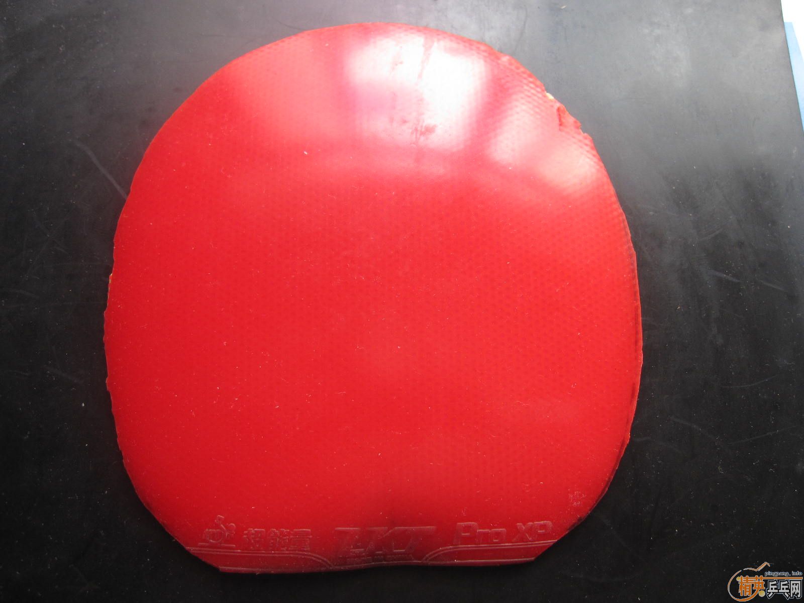 ֧���������˽�Ƥ�����