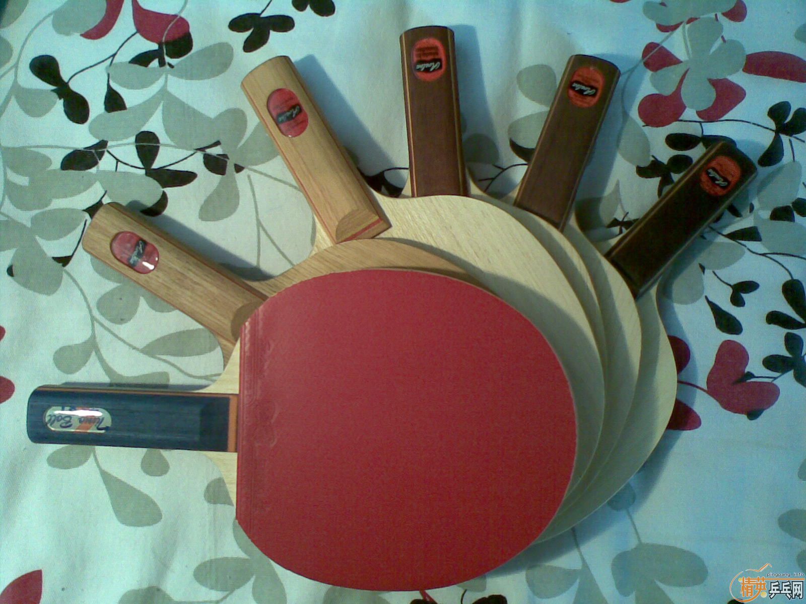 ��һ����������˫�����¡������۳����򻻸ߵ��װ壡����