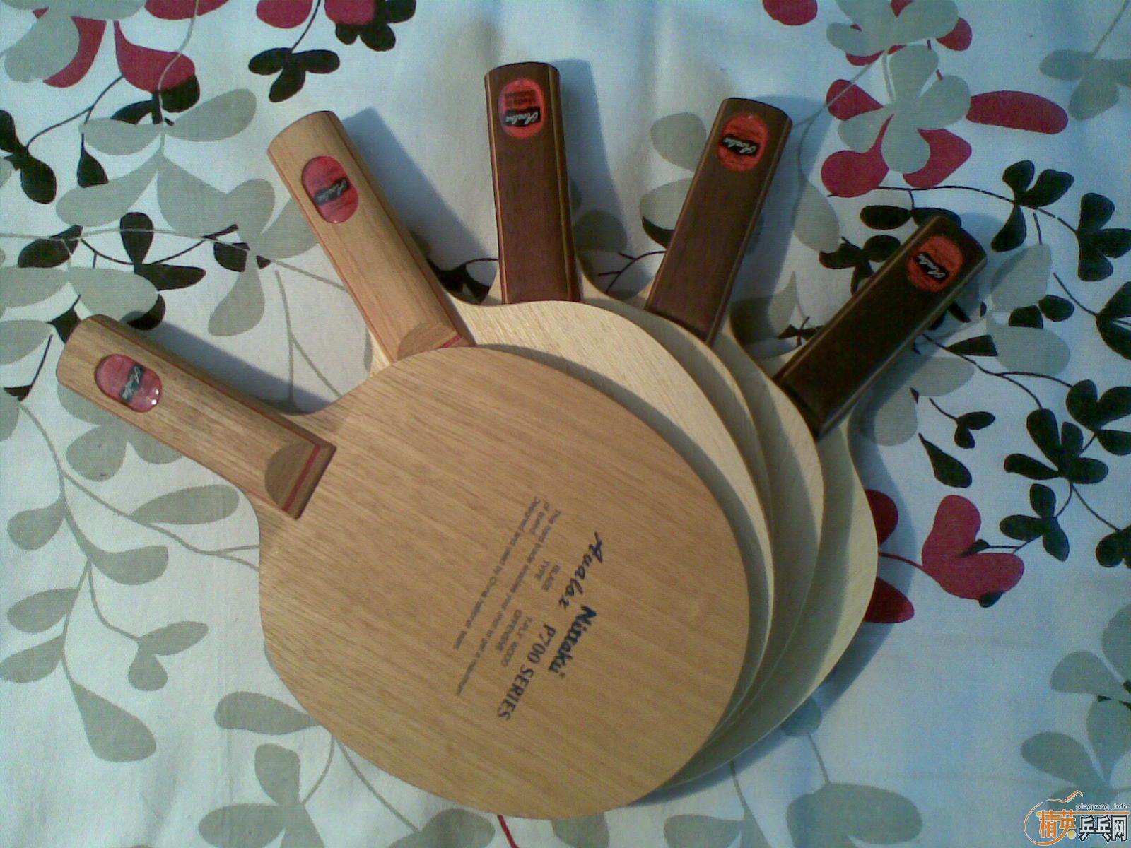 ��һ����������˫�����¡������۳����򻻸ߵ��װ壡����