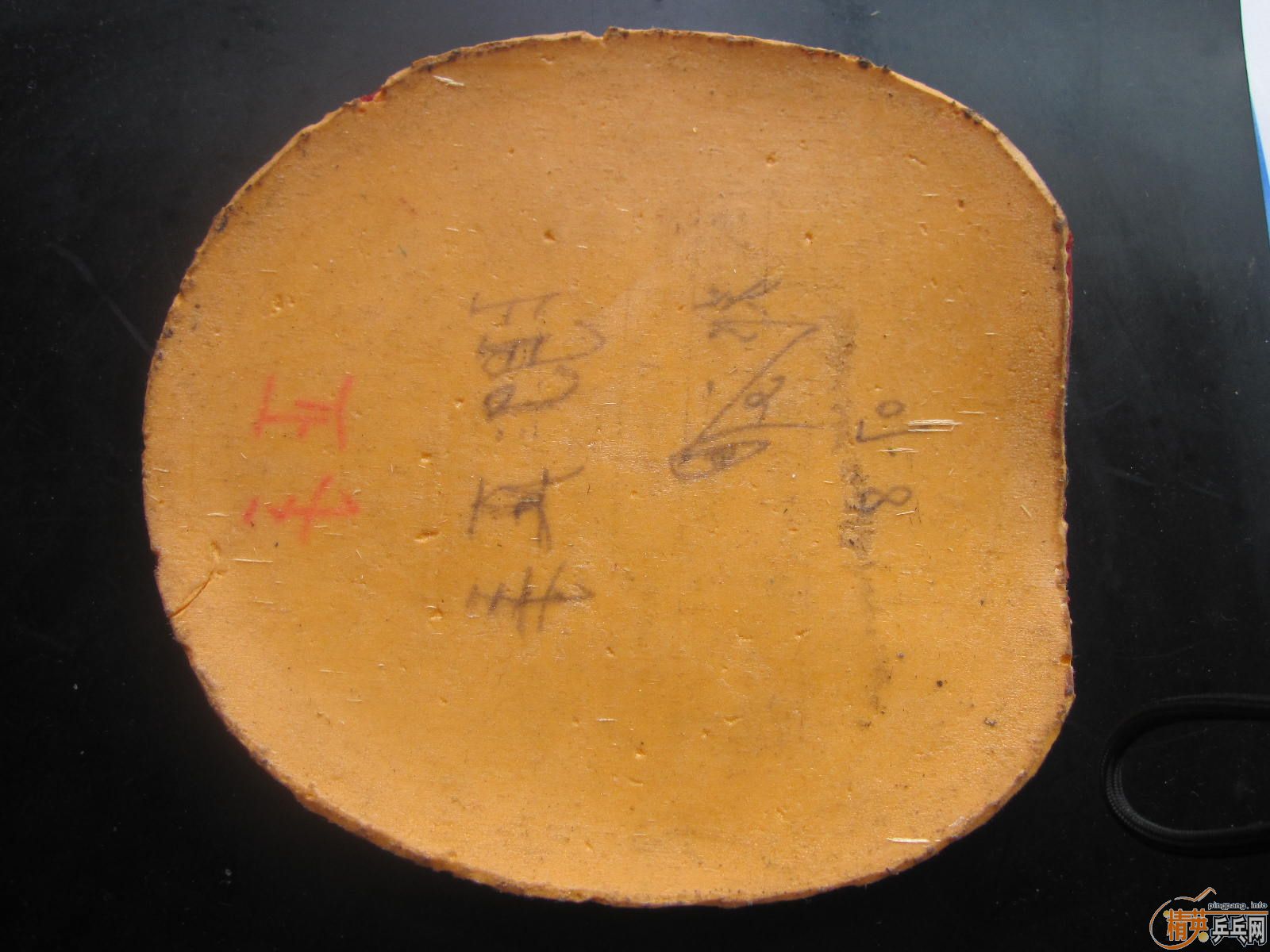 ˹���� FX 98 �� ����������