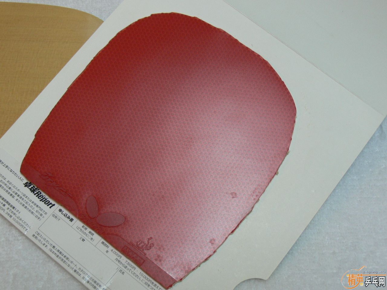 ��ҹ���ģ� ���90 ��ֱ���� 9mm ���ͺ��� BRYCE SPEED FX