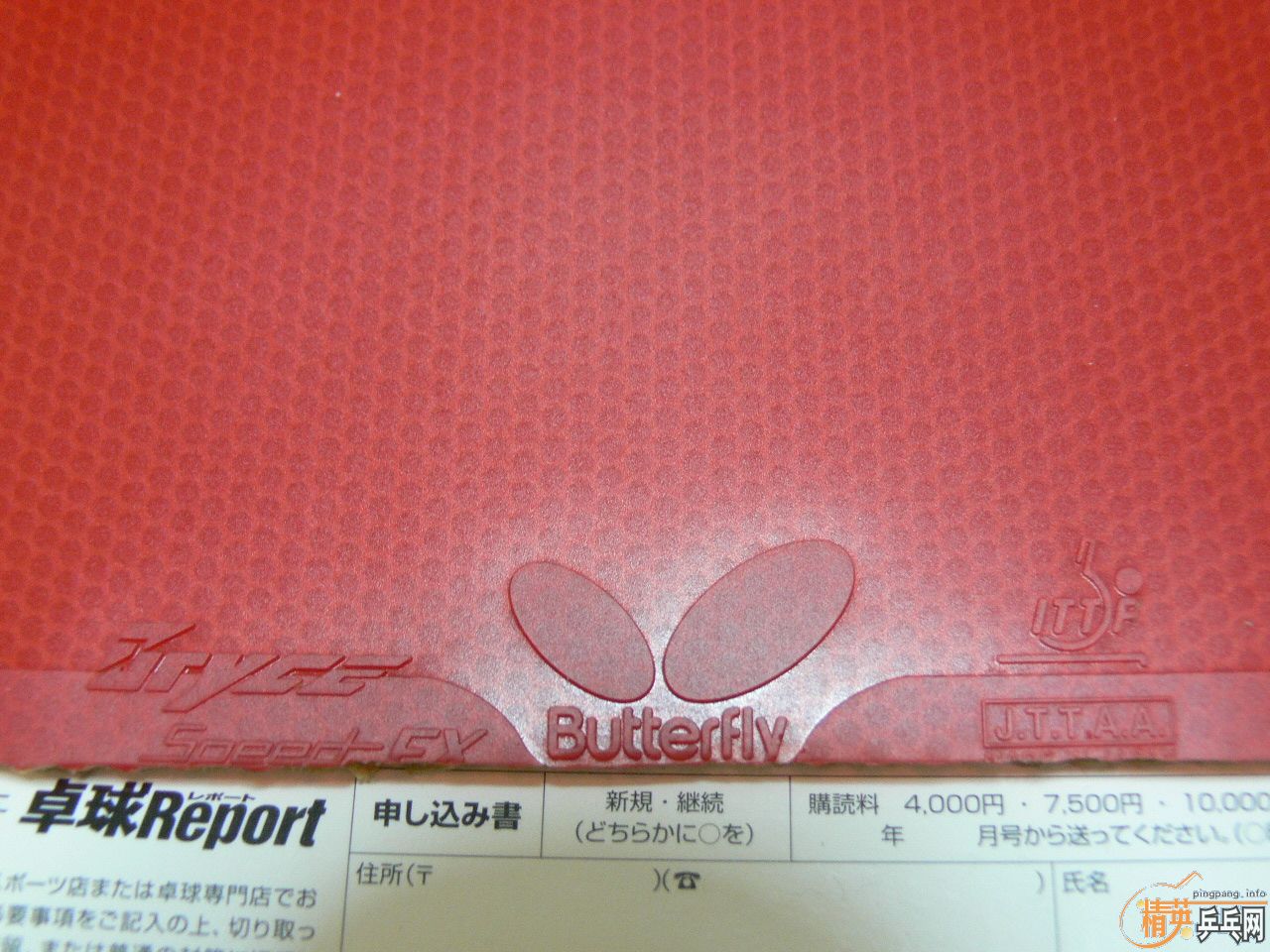 ��ҹ���ģ� ���90 ��ֱ���� 9mm ���ͺ��� BRYCE SPEED FX